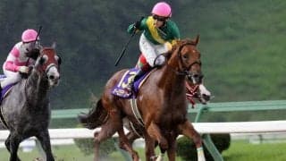 2022年のクラスターCを制したオーロラテソーロが引退 種牡馬入り