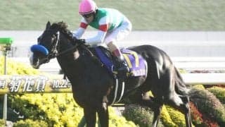 長距離王者決定戦・天皇賞(春)など3重賞/今週の競馬界の見どころ