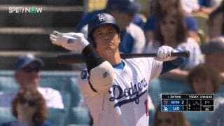 虫にも好かれる大谷翔平 コアなファンは自打球に続く“快音フラグ”と喜ぶ珍現象「虫が来るとよく打つ」