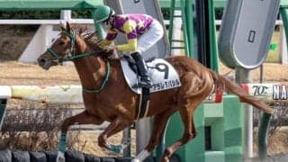 【ユニコーンS見どころ】怒涛の末脚でアラレタバシルが強敵を一蹴するか