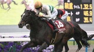 【マイラーズC】売上は65億9242万9900円で昨年より約2.8億円減少