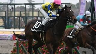 【青葉賞想定騎手】シュガークンは武豊騎手、トロヴァトーレは横山武史騎手