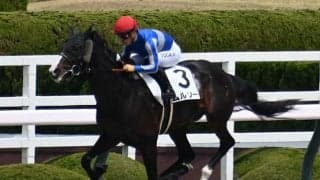 【ユニコーンS想定騎手】ムルソーは川田将雅騎手、ミッキーファイトは戸崎圭太騎手