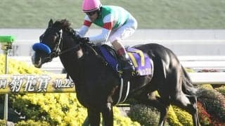 【天皇賞(春)想定騎手】ドゥレッツァは戸崎圭太騎手、テーオーロイヤルは菱田裕二騎手