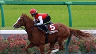 JRAブリーズアップセールの騎乗供覧 アドマイヤラックの2022が最速タイムを記録