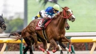 アドマイヤベルが樫行き切符を獲得 血統に秘められた注目の配合パターンとは