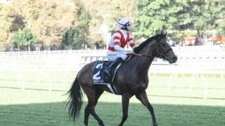 香港チャンピオンズデー オオバンブルマイが香港に到着