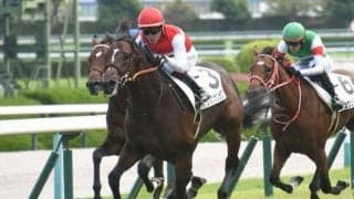 【青葉賞展望】好走条件にピッタリのショウナンラプンタに注目