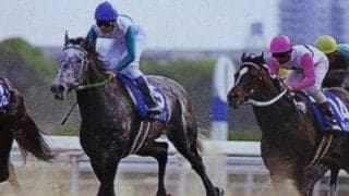 3番人気が単勝18.2倍の2強対決 トウカイテイオーが初黒星を喫した天皇賞(春)