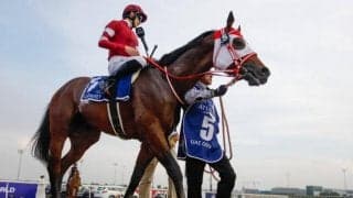 ケンタッキーダービー人気二大巨頭が持つ“アイスカペイド”の血 ダートで活躍馬出す背景とは