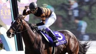 天皇賞(春)の8勝に対し1勝のみGIは3レース 武豊騎手のレース別GI勝利数を比較してみた