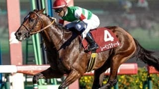 ブリーズアップセール最高価格はレーベンスティール半弟で2700万円 父は新種牡馬ナダル