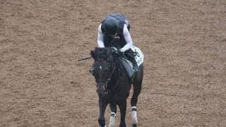 マスクトディーヴァなど、先週の入厩情報/栗東トレセンニュース