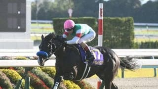 【天皇賞(春)予想オッズ】ドゥレッツァが予想1番人気