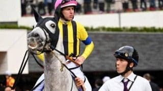 父オルフェーヴルの12年越しリベンジへ 息子が春の淀で“3度目の正直”を果たすか