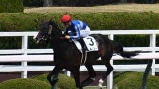 【ユニコーンS予想オッズ】ムルソーが予想1番人気