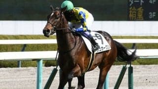 【青葉賞予想オッズ】シュガークンが予想1番人気