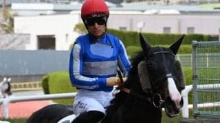 【ユニコーンS展望】大幅な条件変更だが、勢いのある先行馬を狙いたい