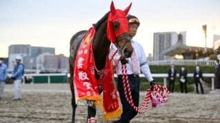 快挙達成なら3億円！ 羽田盃から始まるダート三冠路線とは？