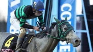 【東京プリンセス賞枠順】一冠目を制したプリンセスアリーは7枠9番、暮れの2歳女王ローリエフレイバーは1枠1番