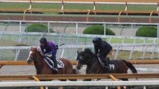 インザモーメント、京都新聞杯1週前追い切り速報/栗東トレセンニュース