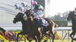 【ヴィクトリアM想定】ナミュール、マスクトディーヴァなど16頭