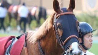 和田竜二騎手がテイエムオペラオー以来23年ぶり制覇へ 継続騎乗の伏兵と一発狙う