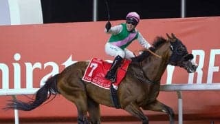 タイグ・オシェア騎手に短期免許交付 今週末から6月26日まで