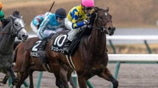 キタサンブラックの半弟 兄の主戦・武豊騎手と青葉賞でダービー切符獲得へ