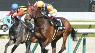 【天皇賞(春)予想】前走で見限るのはまだ早い？ マイナス要素ありながらもAIに評価された穴馬とは