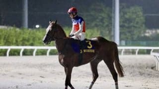 【羽田盃】笹川翼「着順ほど差はない」ハビレは躓くアクシデントもあり4着敗退