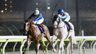 【羽田盃】横山武「最後まで踏ん張ってくれた」紅一点アンモシエラは惜しい2着