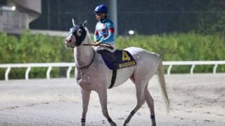 【羽田盃】宮田師「プレッシャーもあったが勝ててよかった」アマンテビアンコがV