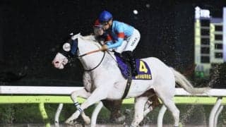 【羽田盃】前年比140%超えの売上げ…今年創設ダート三冠初戦