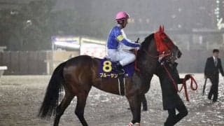 【羽田盃】和田竜「前走とは勝手が違った」レース後ジョッキーコメント