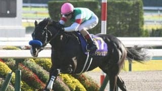 【天皇賞(春)枠順確定】ドゥレッツァは6枠12番、テーオーロイヤルは7枠14番