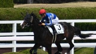 【ユニコーンS出走馬・騎手確定】ムルソー＆川田将雅騎手、ミッキーファイト＆戸崎圭太騎手など16頭