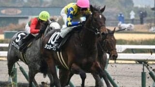 【青葉賞出走馬・騎手確定】シュガークン＆武豊騎手、ウインマクシマム＆松岡正海騎手など17頭