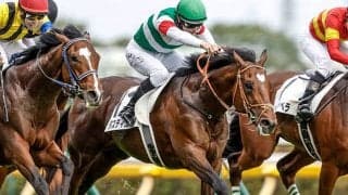 【天皇賞(春)・調教後馬体重】タスティエーラは510kg、ドゥレッツァは466kg