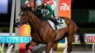 600kg超えの大型良血馬 JRAへの再転入初戦で“新記録V”なるか