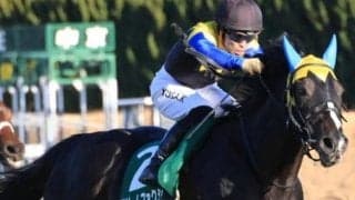 セレクト1億4000万円の良血が初の連闘策 谷川岳Sで待望の復活なるか