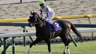 【かしわ記念】ペプチドナイルなど6頭…JRA選定馬