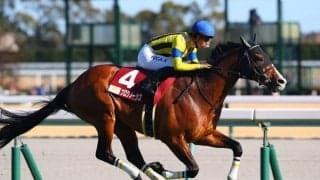 【クイーンエリザベス2世カップ】プログノーシスは5番ゲートへ