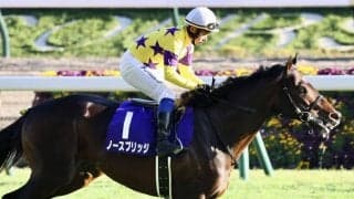 香港チャンピオンズデー 日本馬の近況…ノースブリッジ奥村武師「最高の枠が引けた」