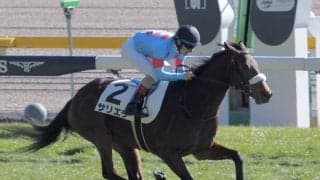 【天皇賞・春】武豊サリエラは最内枠…フルゲート18頭立て