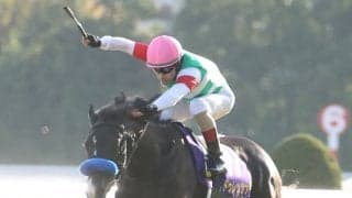 【天皇賞・春】出走馬の調教後の馬体重