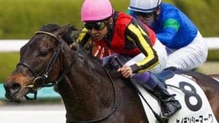 武豊騎手×福永祐一師 夢のタッグでケイデンシーマークの惜敗に今度こそピリオドを