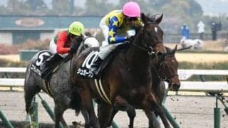 【青葉賞枠順確定】シュガークンは4枠7番、トロヴァトーレは8枠17番