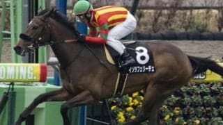 兄エフフォーリアの背中を追え スイートピーSで樫切符獲得を狙う