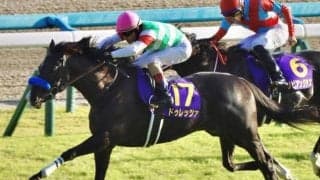 4歳馬の勝利が多い天皇賞(春) 前年の菊花賞馬の成績に意外な特徴あり!?